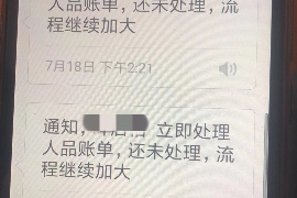 荆州贷款清欠服务